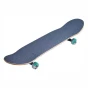 verb-script-deskorolka-skateboard-teal-2.webp