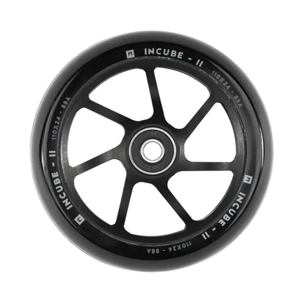 image2.webp
